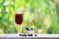 Blueberry smoothie juice glass and fresh blueberries fruit in basket with nature green summer Royalty Free Stock Photo