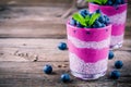 Blueberry smoothies with chia pudding in glasses with fresh berries and mint Royalty Free Stock Photo