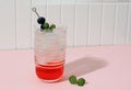 Blueberry Sparkling Red Mojito Royalty Free Stock Photo