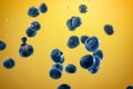 Blueberry splashing in tank of water Royalty Free Stock Photo