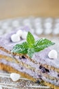 Blueberry sponge cake decorated with meringue and mint leaves. Breakfast in the cafe, morning coffee. on wooden table Royalty Free Stock Photo