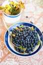 Blueberry, spoon and cup with leaf. Royalty Free Stock Photo