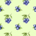 Blueberry sprig seamless pattern with light green background. Digital watercolor design for fabric, print
