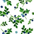 Blueberry sprigs seamless pattern on white background.