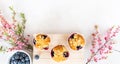 Blueberry Spring Muffins