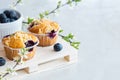 Blueberry Spring Muffins