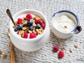 Blueberry and strawberry granola topped with yogurt