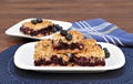 Blueberry streusel cookie bars. Royalty Free Stock Photo