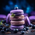 Blueberry sweets with fruit decoration on blur background