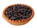 Blueberry tart Royalty Free Stock Photo