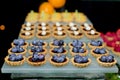 Blueberry tart on buffet line