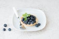 Blueberry tart with cream, cheesecake with berries on a plate Royalty Free Stock Photo