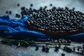 Blueberry tart on a dark background close-up Royalty Free Stock Photo