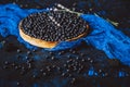 Blueberry tart on a dark background close-up Royalty Free Stock Photo