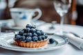 Blueberry tart on elegant dining ware, dusted with sugar. Gourmet dessert