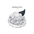 Blueberry tart, hand draw sketch vector.