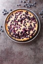 Blueberry tart with vanilla custard cream close-up in a plate. Vertical top view Royalty Free Stock Photo