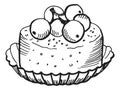 Blueberry tartlet sketch. Sweet cake in hand drawn style