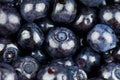 Blueberry texture