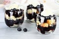 Blueberry Trifle Royalty Free Stock Photo