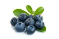 Blueberry. Two fresh blueberries with leaves isolated on white background. With clipping path Royalty Free Stock Photo