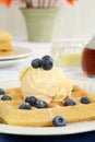 Blueberry vanilla ice cream waffles Royalty Free Stock Photo