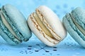 Blueberry and Vanilla Macarons