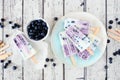 Blueberry yogurt ice pops, top down table scene over white wood Royalty Free Stock Photo