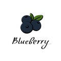 Blueberry vector cartoon flat illustration. Bilberry whortleberry huckleberry hurtleberry sign. Fruit berry and vegetable logo Royalty Free Stock Photo