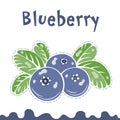 Blueberry vector illustration, berries images. Doodle Blueberry vector illustration in violet blue and green color