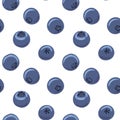 Blueberry vector seamless pattern. Natural fresh ripe tasty blueberries on white. Seamless background. Vector illustration, eps.