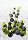 Blueberry with water drops