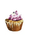 Blueberry watercolor illustration cupcake sweet food