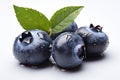 Blueberry on a white background.Health food, diet concept.
