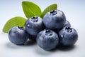 Blueberry on a white background.Health food, diet concept.