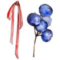 Blueberry wild fruit in a watercolor style isolated.