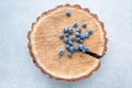 Blueberry on wooden stump background. Ripe and juicy fresh picked blueberries closeup, top view Royalty Free Stock Photo