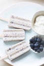 Blueberry yoghurt ice cream popsicle Royalty Free Stock Photo