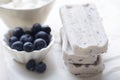 Blueberry yoghurt ice cream popsicle Royalty Free Stock Photo