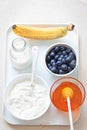 Blueberry, yoghurt smoothie, ice cream ingredients