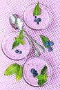 Blueberry yogurt