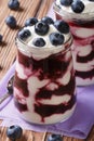 Blueberry yogurt in a glass jar vertical Royalty Free Stock Photo