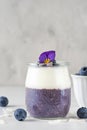 Blueberry yogurt parfait with chia pudding, coconut yoghurt, fresh berries and edible flowers in a glass Royalty Free Stock Photo