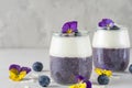 Blueberry yogurt parfait with chia pudding, coconut yoghurt, fresh berries and flowers in glasses for healthy breakfast Royalty Free Stock Photo