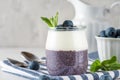 Blueberry yogurt parfait with chia pudding, coconut yoghurt, fresh berries and mint in a glass for healthy breakfast Royalty Free Stock Photo