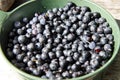 Blueberrys in a bowl Royalty Free Stock Photo