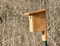 Bluebird Box Royalty Free Stock Photo