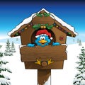 Bluebird celebrating Christmas in a winter landscape