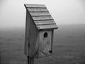 Bluebird house in countryside setting