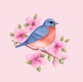 Bluebird with Pink Flowers